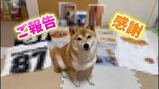 夢がひとつ叶いました