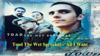 Toad The Wet Sprocket - All I Want