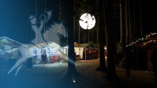 Waldweihnacht in Halsbach: ein Wintermärchen