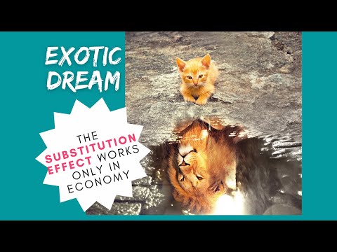 #1 - Lec 6 | Efectul de Substitutie si de Venit si Paradoxul Giffen - 10 min | EDUCATIE FINANCIARA