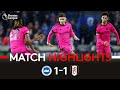 HIGHLIGHTS | Brighton 1-1 Fulham | Hard-Earned Point On South Coast 🏖