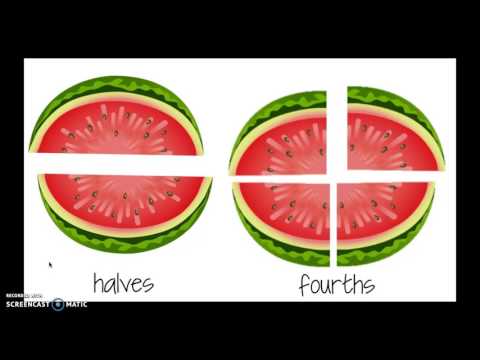 Mod 5 Lesson 8
