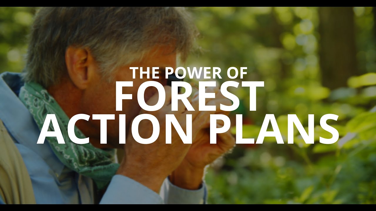 The Power of Forest Action Plans.