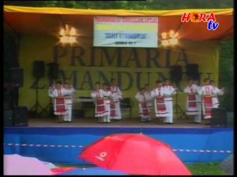 Zilele Utvinisului editia a-III-a - Ansamblul Romanasul Andrei Saguna grupa mica