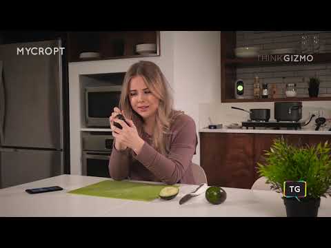 Mycroft Open Source Voice Assistant