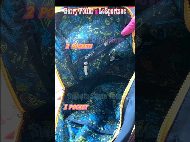 Vídeo relacionado con Harry Potter Accio-Mochila HS, Multicolor, 31 x 44 cm, Capacidad 23 L