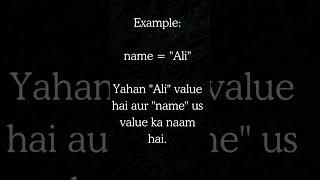 Python Programming in Urdu,Python In Hindi,Module 1,Topic 1,Variable