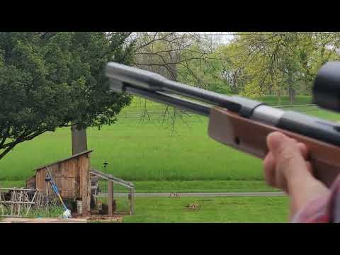 Weihrauch HW97K .22 cal @ 30 Yds