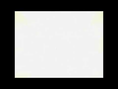 Digimon Gatomon Digievoluciona a Angewomon