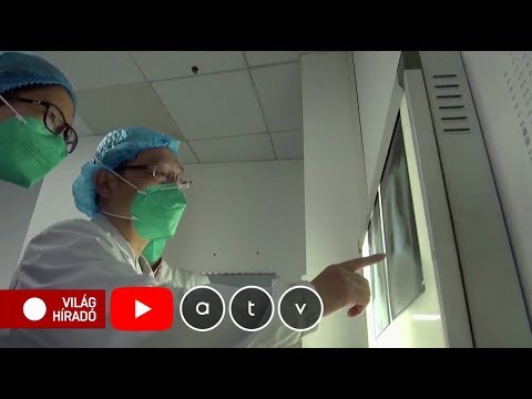 tüdő helminták címe