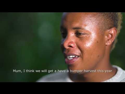 BORESHA MAISHA with Bioslurry: For Better Soils, Better Yields in your Farm