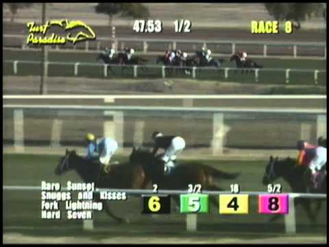 Rare Sunset wins the Glendale Handicap at Turf Paradise