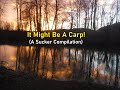 Video Thumbnail for It Might Be A Carp!  (A Sucker Compilation)