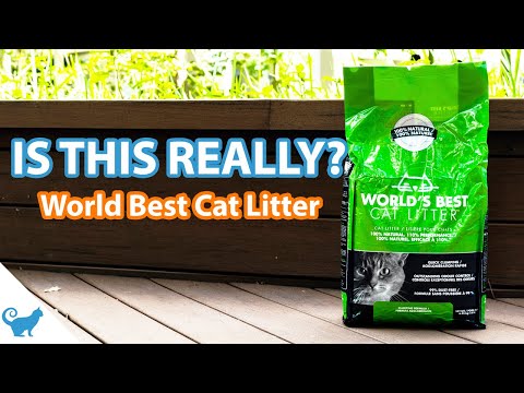 World's Best Cat Litter Review - Original Unscented