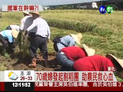 人力割稻團出動! 不老精神感動人