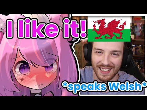 Mousey Likes It When Connor Starts Speaking Welsh