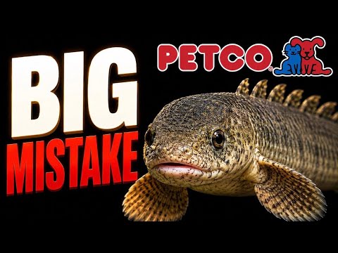 Nearest Petco To Me
