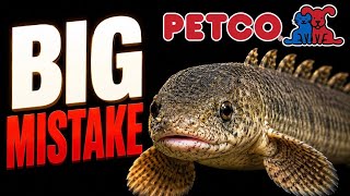 10 Petco Fish You Should Never Buy