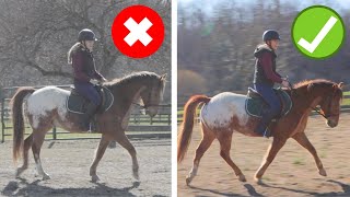 Download lagu How To Get Your Horse On The Bit (STEP-BY-STEP GUIDE) mp3