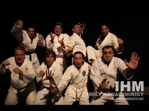 Irigy Hónaljmirigy - Karate tigris 8 (2006)