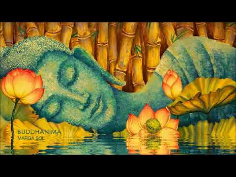 BUDDHANIMA - Marga Sol