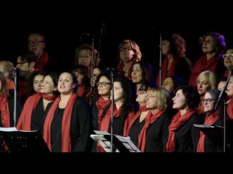 In the Midst of It All - St. Jacob's Choir