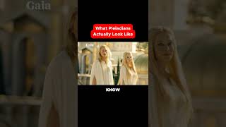 What Do Pleiadians Actually Look Like