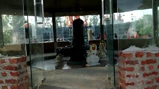 Jai bhole jay bhandari Teri hai  mahima niyari