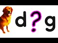 Guess The VOWEL With PHONICS FLASHCARDS For KIDS Easy Phonics Learning