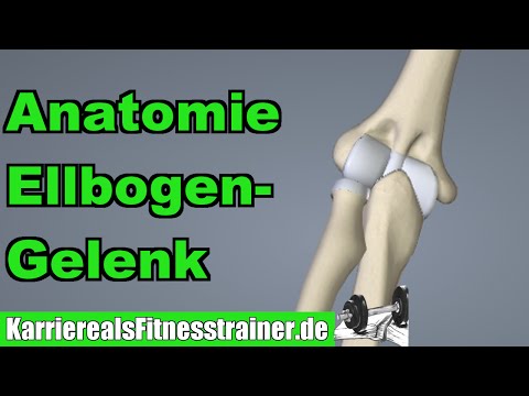 Anatomie des Ellbogengelenks (Elle, Speiche, Oberarmknochen) | für B-Lizenz Prüfung