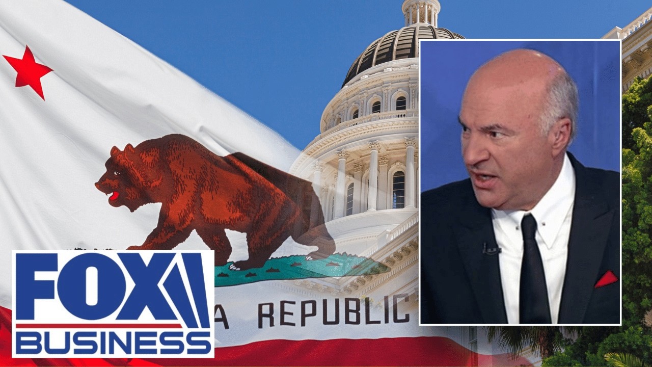 'STUPID MISTAKE': O'Leary SCORCHES Cali's fast-food wage hike