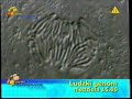 Polsat Ident Zdrowie I Uroda Zapowiedz Reklama Platformy Cyfrowej Z Lutego 2006 Roku