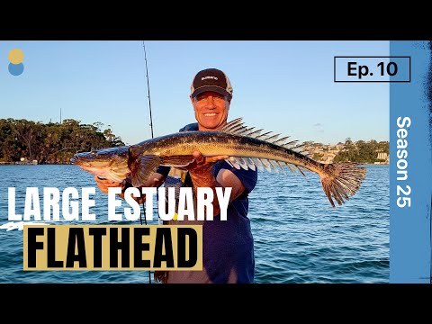 Large Flathead. ET's Secrets to Catching Lizzards!