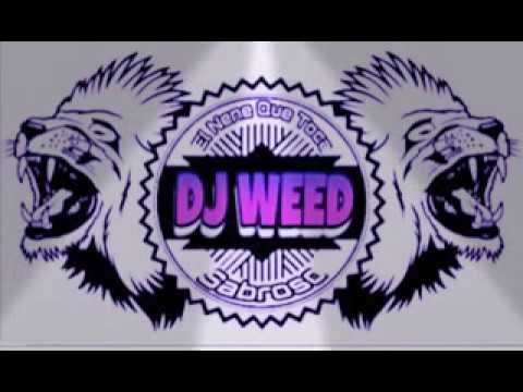 Ella quiere tra!DJ WEED😎