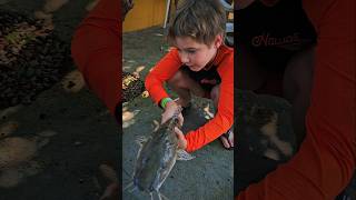 Miguel pescou TILÁPIA e PINTADO de 3kg no Pesqueiro do Jefinho em Fundão-ES! 🎣🐟