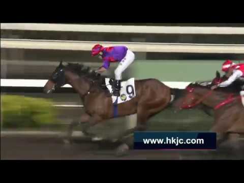 2016/17 (461) - Fight Hero (藍天堡馬) - 黎海榮 (乘勇升班再下一城)