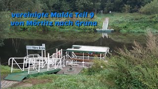 vereinigte Mulde Teil 9 von Mörtitz nach Gruna
