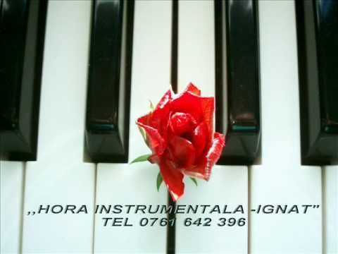 HORA IGNAT.wmv