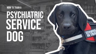 How to Train a Psychiatric Service Dog
