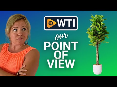 Homelux Theory Artificial Plant Decor - WTI product video review