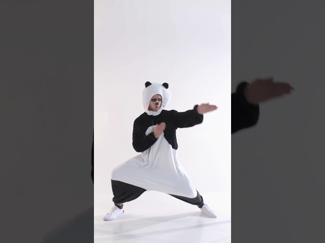 Video Teaser für Kostüm Panda | dressforfun