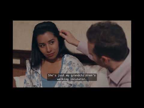 The Surrogacy (Drama Series)