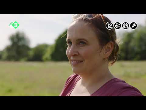 afbeelding Dertigers