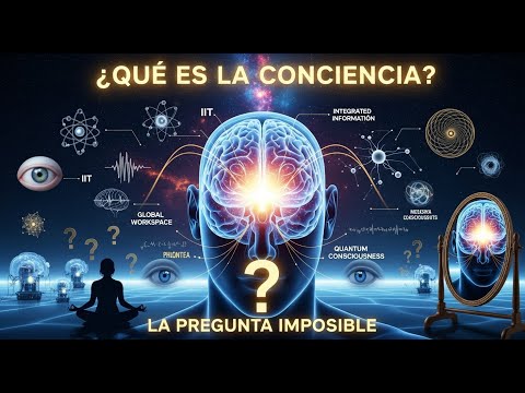 What is CONSCIOUSNESS? The question that challenges all science | The Quantum Observer