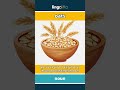 oats - a grain from a grass plant... video thumbnail