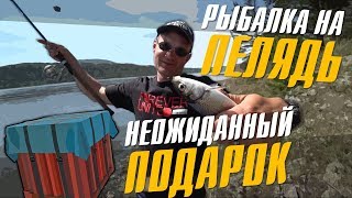 Рыбалка на рипуса весной в красноярске