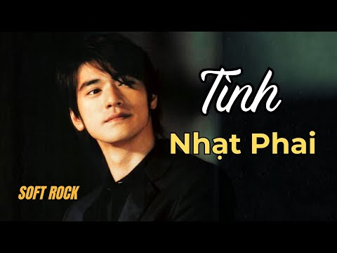 Tình Nhạt Phai | 爱情音乐褪色 | Nhạc hoa lời việt
