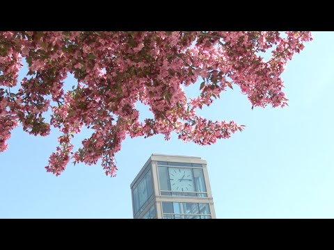 Moraine Valley Community College - video