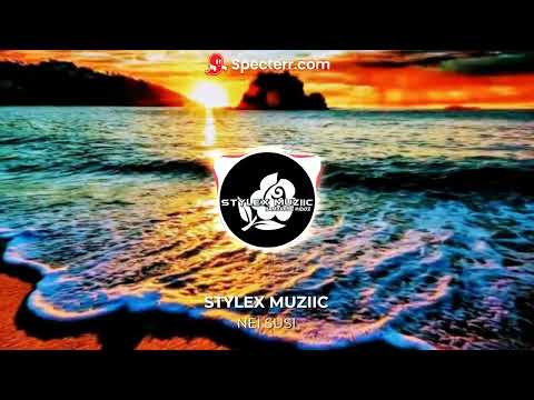 OFFICAL STYLEX MUZIIC - [ DJ BEN RMX NEI SUSI ]