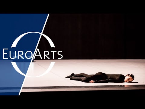 Swan Lakes from the Theaterhaus Stuttgart (Trailer)